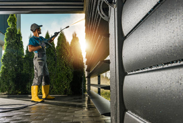 Best Gutter Cleaning  in Leesburg, FL