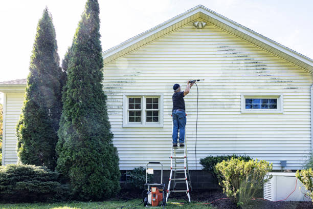 Professional Pressure Washing Services in Leesburg, FL